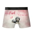 thumbnail image 2 of Every Fart is Love Note Havanese Guilty Face Happy Valentine's All Over Print Boxer Briefs Underwear for Men Dad Havanese Dog Lover Gifts Idea - 01016, 2 of 6
