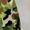 Green, variant on Hesxuno Men Grapic T-Shirts Camo Crewneck Short Sleeve Shirts Military Training Tops Moisture Wicking Workout Gym Tees Blue S