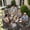 Coffee, variant on SERWALL 10-Piece Outdoor Dining Set, 2 Rectangle 59" Dining Tables with Umbrella Holes and 8 Patio Dining Chairs with Umbrella Hole for Garden, Deck, Poolside, Gray