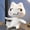 white cat, variant on New Toro Inoue Cat Plush Anime Game Doll Stuffed Kittens Plushie Cartoon Couple Black and White Cats Decor Gift Toys for Kids