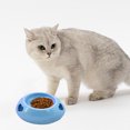 thumbnail image 7 of Anti-Slip Pet Food Bowl Non-Tip Design for Cats and Dogs, Spill-Proof Plastic Feeding Dish with Stable Base for Mess-Free Meals and Water FAJHHA | Blue, 7 of 7