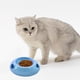 thumbnail image 4 of pstuiky Tazón para cachorros Tazón para gatos Tazón para comida Tazón para mascotas que evita vuelcos Tazón para perros y gatos Tazón para agua potable, 4 of 6