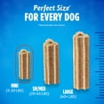 thumbnail image 5 of Purina DentaLife ActivFresh Mini & Toy Dog Dental Treats with Chicken, 16.9 oz Pouch (56 Count), 5 of 10