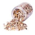 thumbnail image 1 of 1 Caja de Naturales Variadas de Decoración SM SunniMix Conchas de caracol natural, 1 of 8