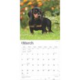 thumbnail image 3 of Dachshunds | 2025 12x24" (Hanging) Wall Calendar | Plastic-Free | BrownTrout, 3 of 9