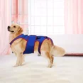 thumbnail image 3 of Para Soporte De Cadera Para Perros Soporte De Cadera Para, 3 of 8