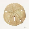 thumbnail image 2 of Stellar Design Studio 12x12 White Modern Wood Framed Museum Art Print Titled - Neutral Shell Collection 5, 2 of 4