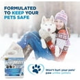 thumbnail image 2 of Pet Safe Ice Melt - Liquid Deicer for Driveway, Magnesium Chloride Ice Melt, Liquid Ice Melt, De Icer for Sidewalks - Safe, Fast and Effective - (1 Gallon), 2 of 6