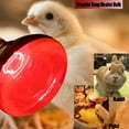 thumbnail image 4 of TGHTBA-250 Watts Heat Lamp Bulbs, R40 Brooder Heat Lamp for Chickens, Infrared Reflector Heat Bulb for Brooder Coop Heater, Incandescent Heating Light Bulb for Food, Pet, Bathroom, Light Therapy, 2 P, 4 of 4