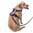 thumbnail image 4 of XMXY No Pull Dog Harness, Wavy Purple Marbled Texture Adjustable Reflective Pet Harness with Oxford Vest, Medium Size, 4 of 7