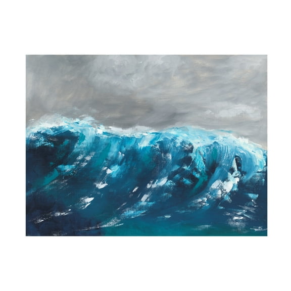 Trademark Fine Art Alicia Longley Indian Ocean II Canvas Wall Art