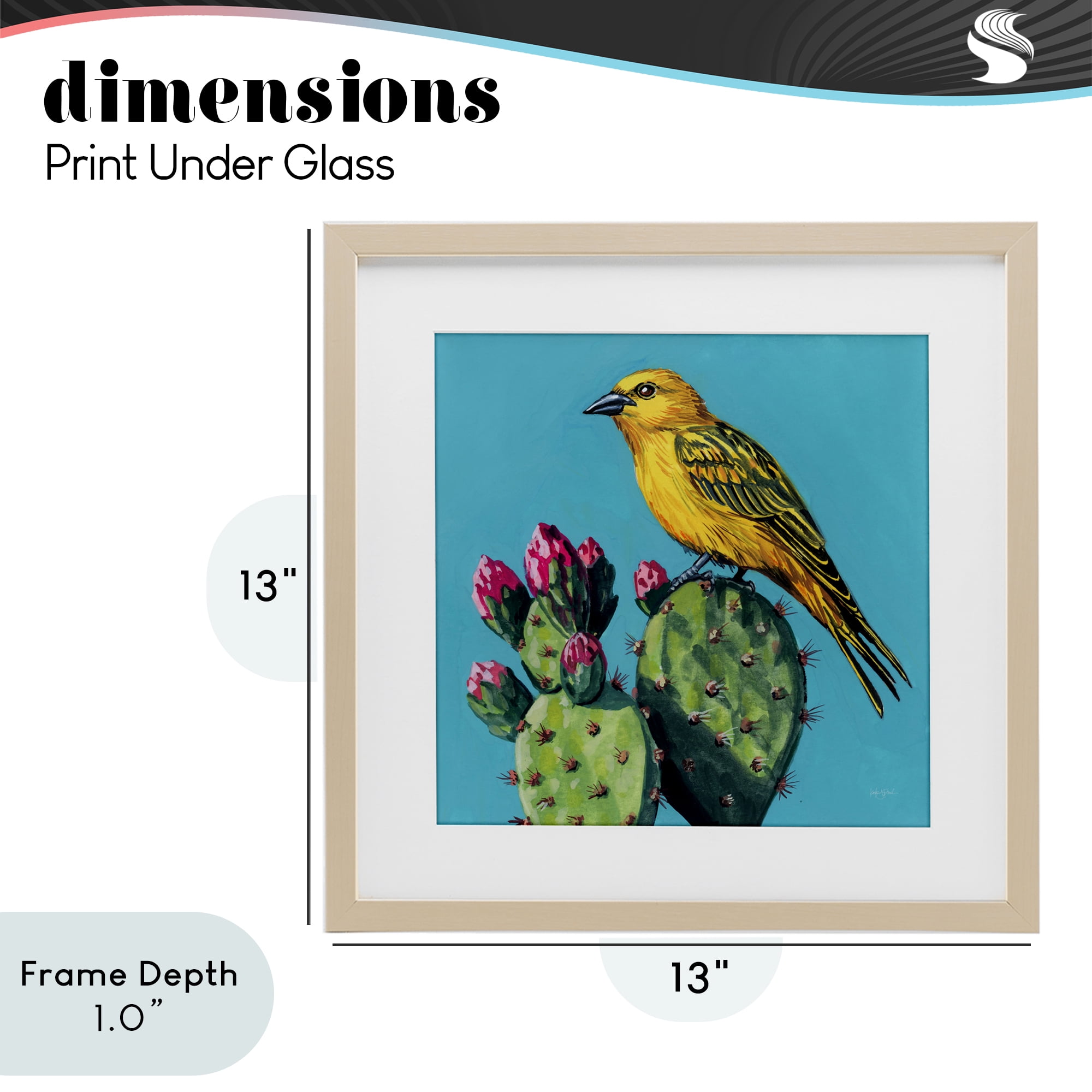 Stupell Industries Yellow Bird on Cacti Bloom Birch Framed Print Under Glass, design by Kate Jarvik Birch