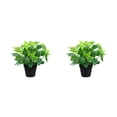 thumbnail image 3 of Moyic Plantas fáciles de cuidar - Amplia aplicación Sin olor Decoración Flores artificiales Plantas Plantas en maceta Lavabo negro grande 2Conjunto, 3 of 6