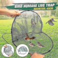 thumbnail image 1 of Humane Bird & Pigeon Trap, Net & Leghold Catcher for Birds & Quail, 1 of 5