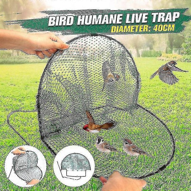 Humane Bird & Pigeon Trap, Net & Leghold Catcher for Birds & Quail