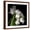 Brown Frame, variant on Art.com Frayed Tulips Photographic Print by Magda Indigo, 30" x 30"
