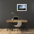 thumbnail image 4 of Erin Berzel 32x23 White Modern Wood Framed Wall Art Titled - Joshua Tree National Park IV, 4 of 5