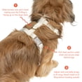 thumbnail image 4 of Oodles Polyester I Heart Walks Adjustable Step-in Dog Walking Harness Red, Small, 4 of 9