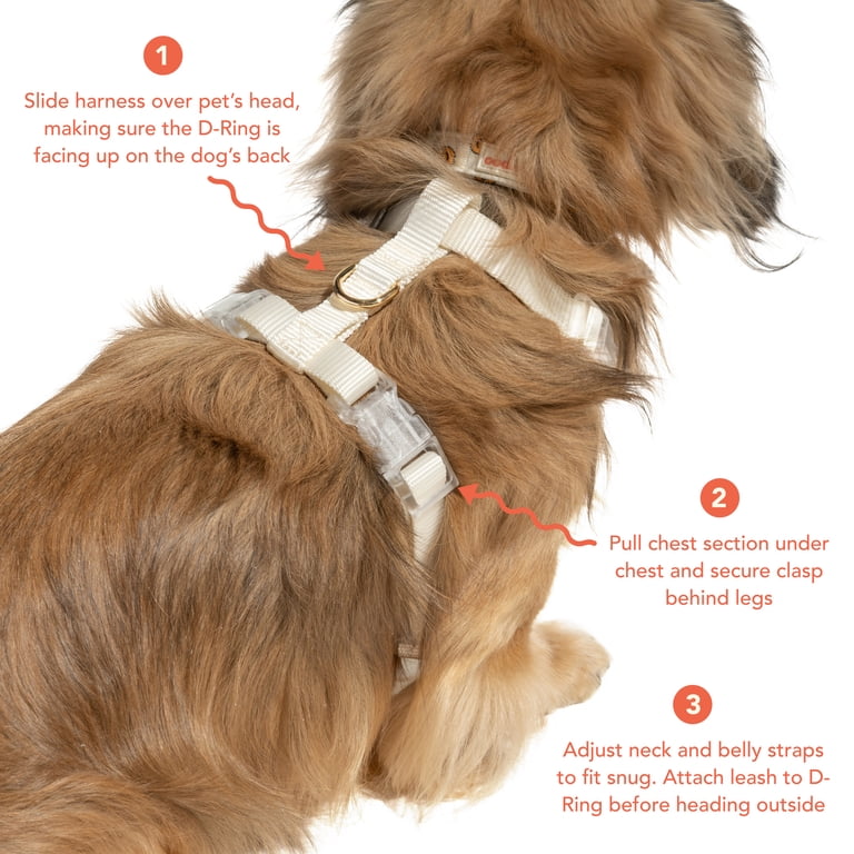 Oodles I Heart Walks Step-in Dog Harness, Red Small photo 4
