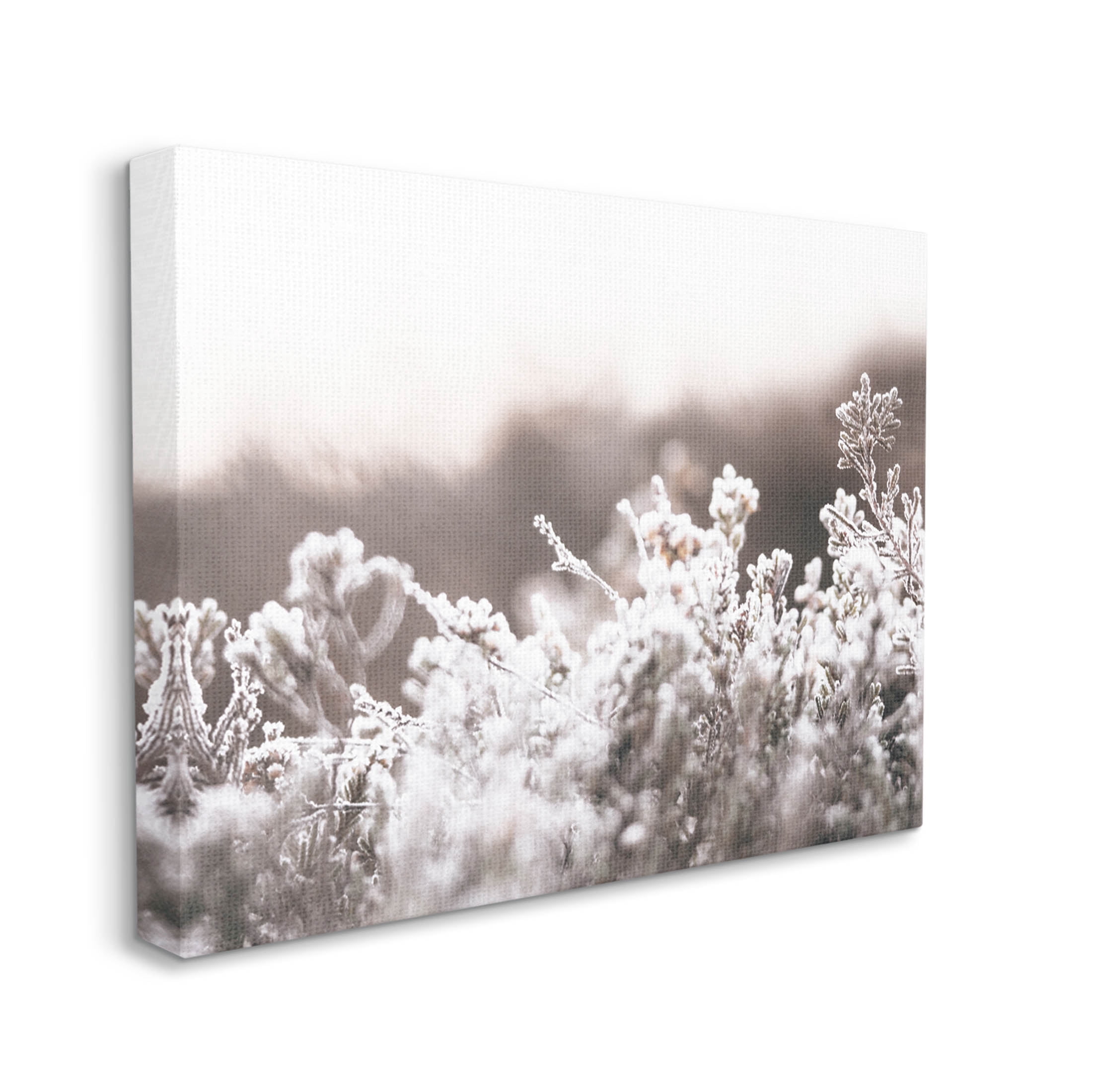 Stupell Industries Dainty Winter Blossoms Botanical Blooms Photograph Gallery Wrapped Canvas Print Wall Art, Design by Leah Straatsma