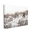 thumbnail image 3 of Stupell Industries Dainty Winter Blossoms Botanical Blooms Photograph Gallery Wrapped Canvas Print Wall Art, Design by Leah Straatsma, 3 of 7