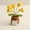 K, variant on Crochet Plant Kit, Mini DIY Wool Yarn Artificial Potted Decoration, Everlasting Desktop & Home Decor, Unique Handmade Gift