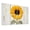Color 1, variant on 8 Pack Art Acoustic Panels Sound Absorbing Sunflower Bloom Yellow Petals Green Leaves White Wooden Decorative Soundproof Wall Panels Self Adhesive for Nursery Game Room Bedroom 48"x32"