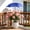 Blue_Base#691, variant on Adjustable UV Protection Plant Shade Umbrella for Potted Plants Succulents Herbs Balcony Garden Outdoor Use