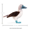 thumbnail image 5 of Marioneta de mano Folkmanis, pajarito piquero de patas azules, 5 of 5