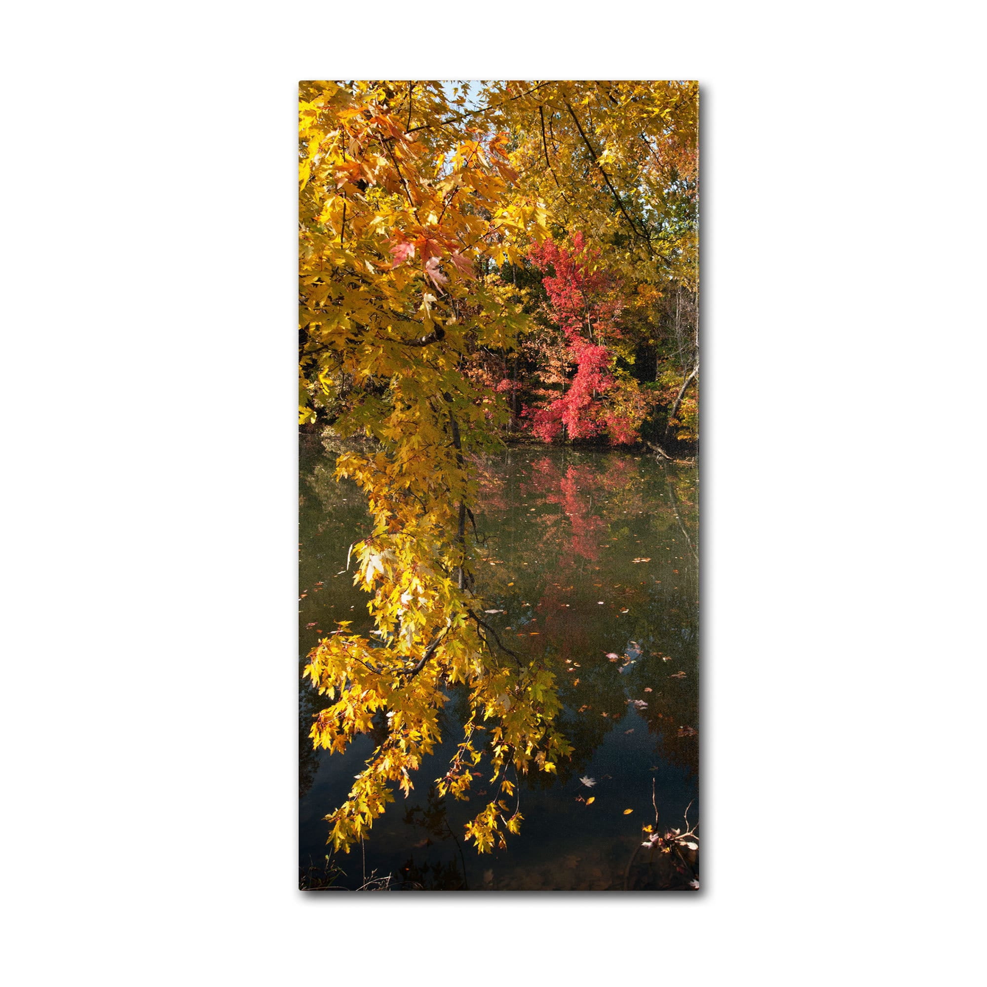 Trademark Fine Art "Autumn Branches" Canvas Art by Kurt Shaffer