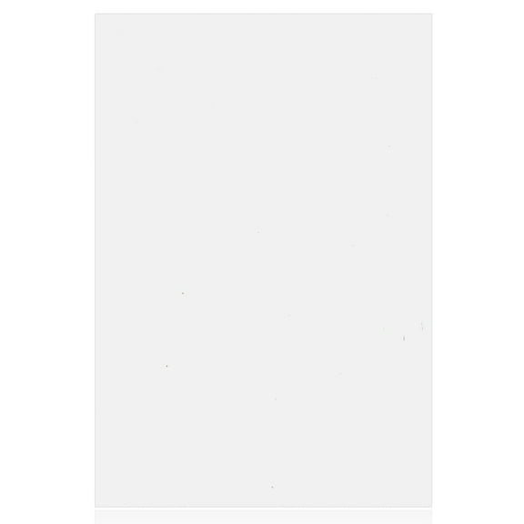 Replacement Polarizer Film Compatible For iPad Pro 12.9" 1st Gen (2015) (Premium) (10 Pack)