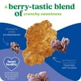 thumbnail image 4 of Kashi Breakfast Cereal, Organic, Whole Grain, Blueberry Clusters, 17.2oz Box, 4 of 5