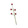thumbnail image 1 of Inteprter Simulación de Navidad, bayas, fiesta de cumpleaños, selección de fiesta, accesorio de Navidad, ramo de ambientes, decoración Kits de decoración para fiestas Rojo, 1 of 6