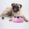 thumbnail image 5 of Acaricie el cuenco del animal doméstico del cuenco del gato de la melamina de la capa doble del cuenco de la comida del cuenco del perro del acero inoxidable, 5 of 5