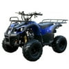 Coolster Kids 125cc ATV 3125R