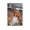 Unframe-style, variant on Xavier Worthy Canvas Poster Home Decor Poster Wall Art Hanging Picture Print Bedroom Decorative Painting Posters Room Aesthetic 12x18inch(30x45cm)