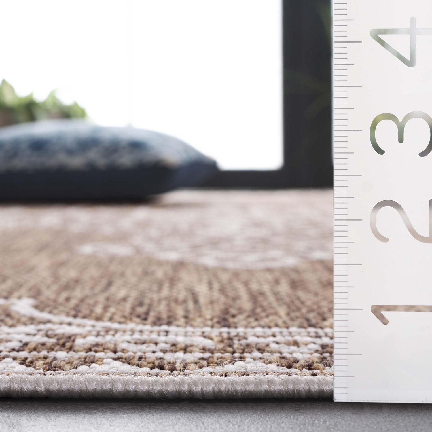 SAFAVIEH Beach House Hubert Medallion Indoor/Outdoor Area Rug