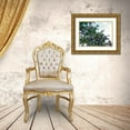 thumbnail image 3 of Simons 32x25 Gold Ornate Wood Framed with Double Matting Museum Art Print Titled - Palmtastic, 3 of 4