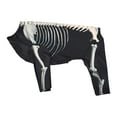 thumbnail image 1 of Disfraz de esqueleto de perro para Halloween, ropa para cachorros y gatitos, para jugar al aire libre y vacaciones. M, 1 of 8