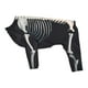 thumbnail image 1 of Disfraz de esqueleto de perro para Halloween, disfraz para mascotas, cómodo, accesorios para sesiones de fotos, genial L, 1 of 9