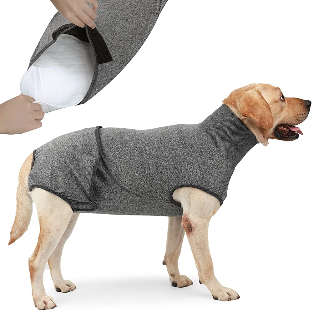 Dog Bodysuit Female Male Post Operative Dog Recovery Suit with Surgical ...