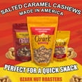 thumbnail image 4 of OZARK NUT ROASTERS: Salted Caramel Cashews, Flavored Snack Nuts & Gourmet Candied Peanuts, Blend of Sugar, Sea Salt & Caramel, Pack of 1 (14 oz), 4 of 5