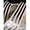 Platinum & Ivory, variant on AK-Trading 2.5" x 10 Yards Metallic Striped Gift Wrap & Craft Ribbon - Gold & Ivory