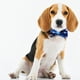 thumbnail image 3 of Collar para mascotas Sky, adecuado para perros pequeños, medianos y grandes., 3 of 5