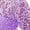 Purple, variant on Toddler Formal Dress Princess Dress For Girls 4-6 Girls Flower Vintage Floral Lace 3/4 Sleeves Floor Length Dress Wedding Party Evening Formal Pegeant Dance Gown Purple 5-6 Years