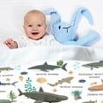thumbnail image 4 of Baby Shark Plush Gifts for Toddlers Kids Newborn Shark Lovers - Types of Sharks Super Soft Fleece Lightweight Throw Blanket - 30" X 40" Shark Toys Decor for Crib Nap Sofa Boys Girls Room Decoration, 4 of 6