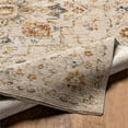 thumbnail image 4 of Surya Reina 63x63" Traditional Polyester Rug in Gray/Brown/Cream/Olive, 4 of 6