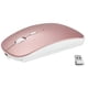 thumbnail image 1 of Mouse inalambrico ergonomico Gadgets and Fun  con bateria de litio recargable ultra silencioso, 1 of 3