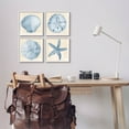 thumbnail image 2 of Blue Varied Seashell Marine Life Animals & Insects Graphic Art White Framed Art Print Wall Art, Set of 4, 2 of 8