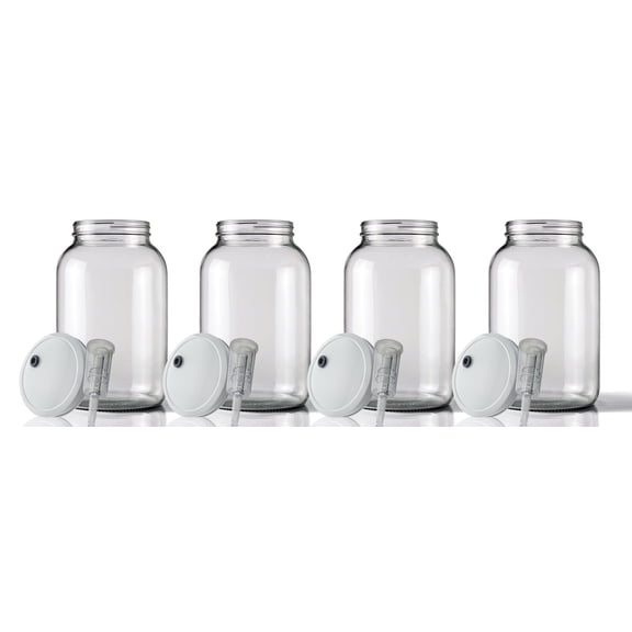 Wide Mouth Jar 1 Gal w/Grommeted 110mm White Metal Cap and Econo-Lock Airlock x4